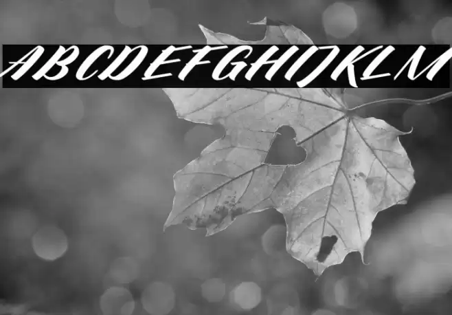 de hafla Font examples