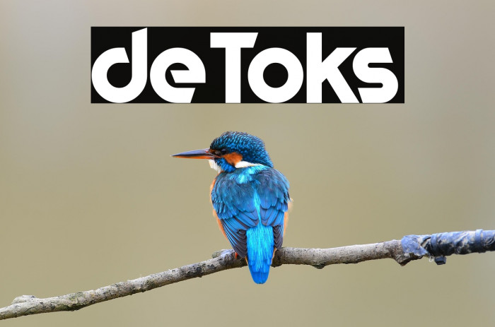 deToks Example 2