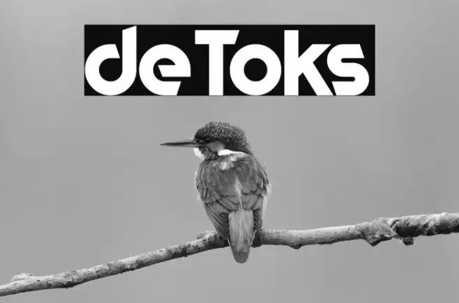 deToks Example 2