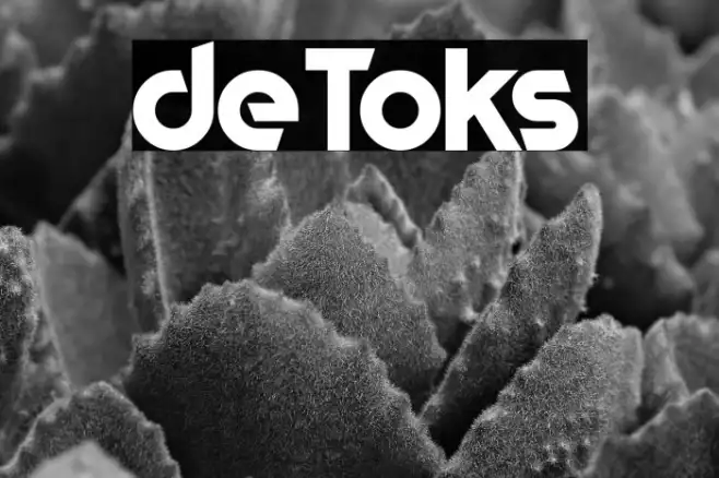 deToks Example 3