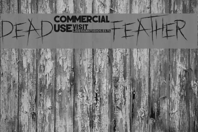 dead feather Example 2