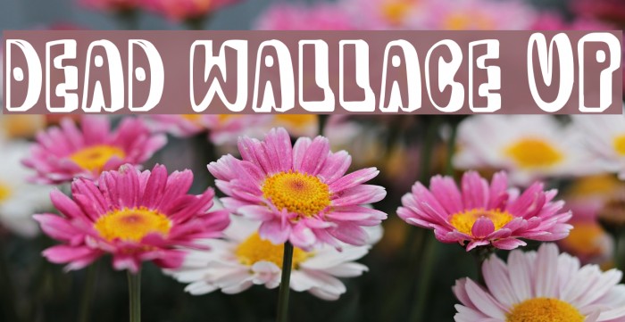 dead wallace UP Font examples