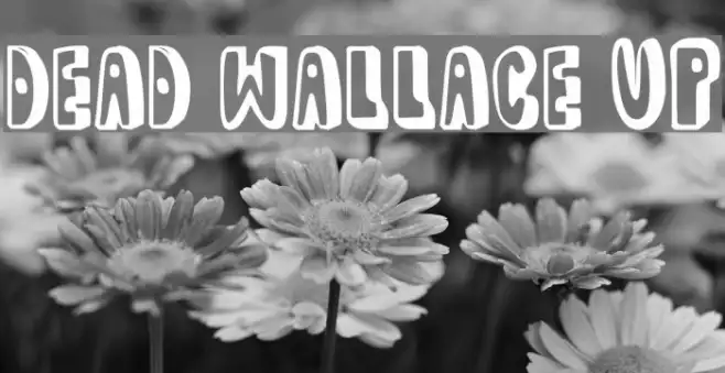 dead wallace UP Example 3