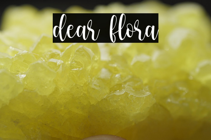 dear flora Example 1