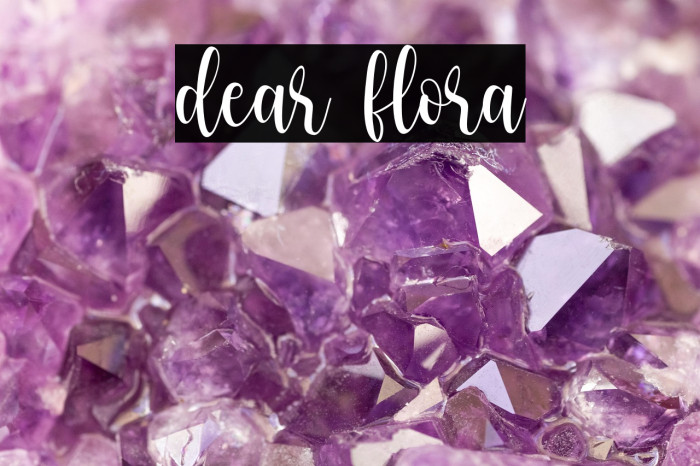 dear flora Example 2