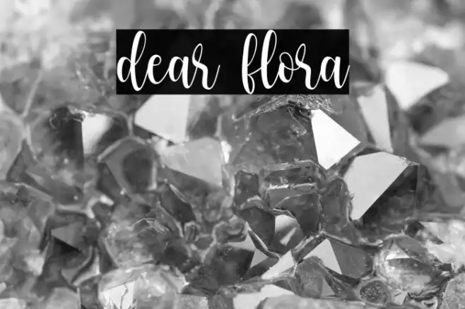 dear flora Example 2