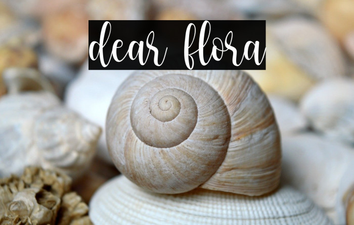 dear flora Example 3