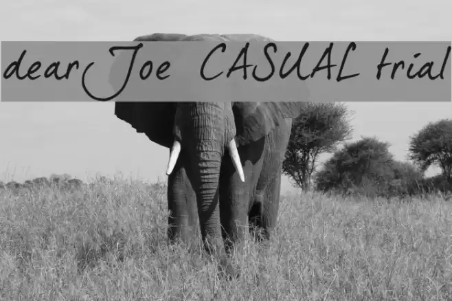 dearJoe 5 CASUAL trial Font examples