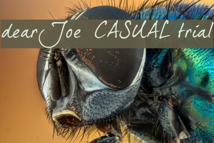 dearJoe 5 CASUAL trial Font examples