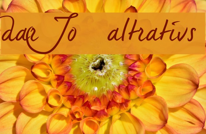 dearJoe 5 alternatives Example 2