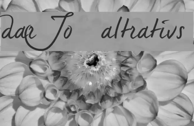 dearJoe 5 alternatives Font examples