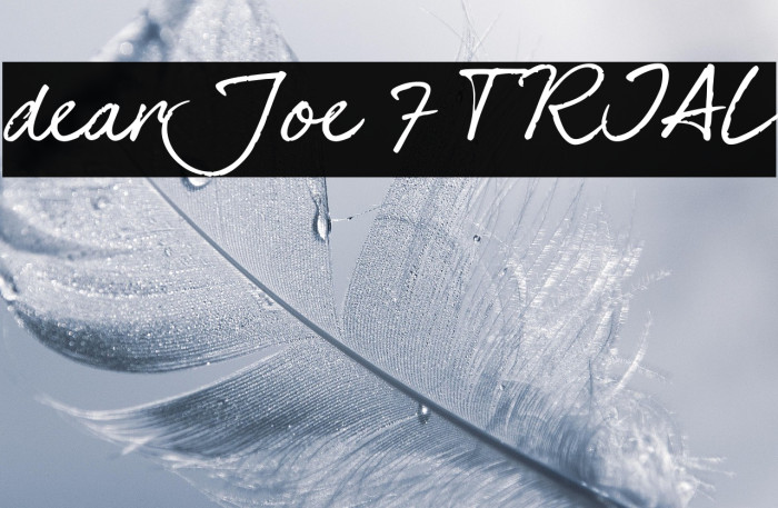 dearJoe 7 TRIAL Example 2