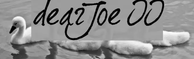 dearJoe II Example 2
