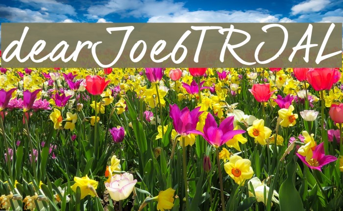 dearJoe6TRIAL Font examples