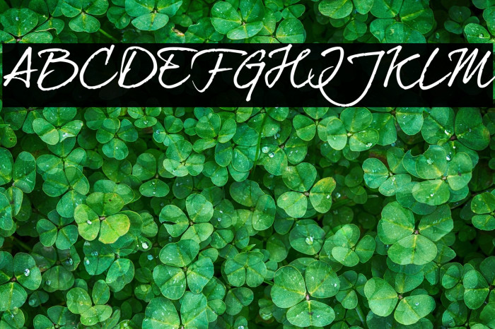 dearJoe7TRIAL Example 1