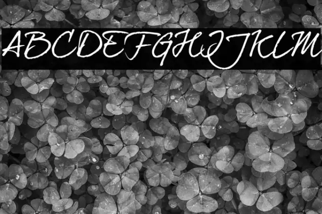 dearJoe7TRIAL Example 1