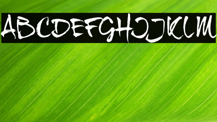 dear_JoeHannes_TRIAL Example 1