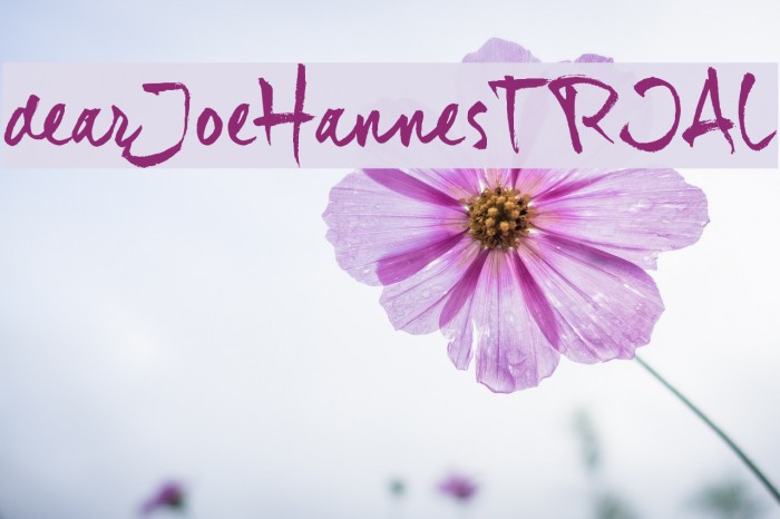dear_JoeHannes_TRIAL Font examples