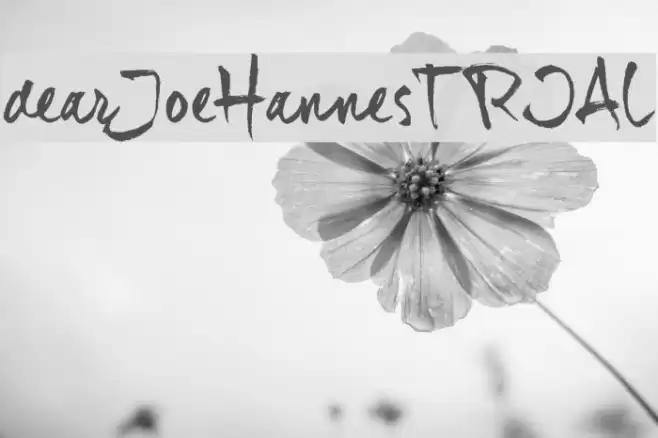 dear_JoeHannes_TRIAL Font examples