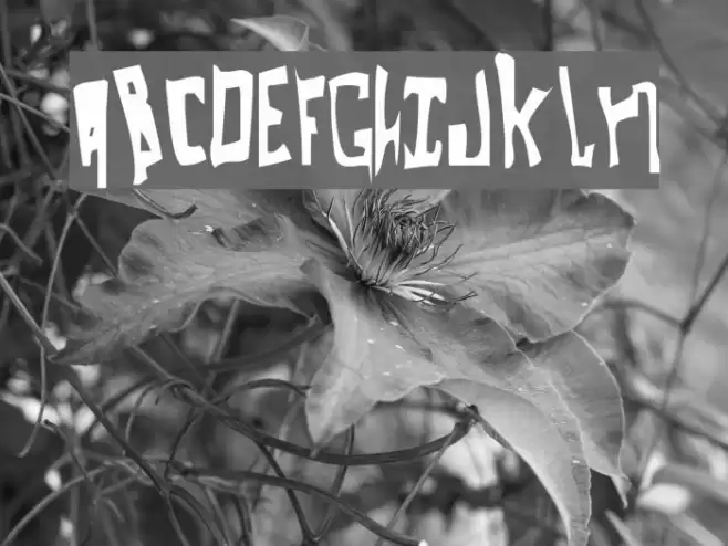 dearcycle   Oddtype Schriftart examples