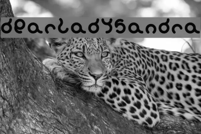 dearladysandra Fonte examples