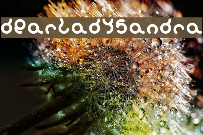 dearladysandra Font examples