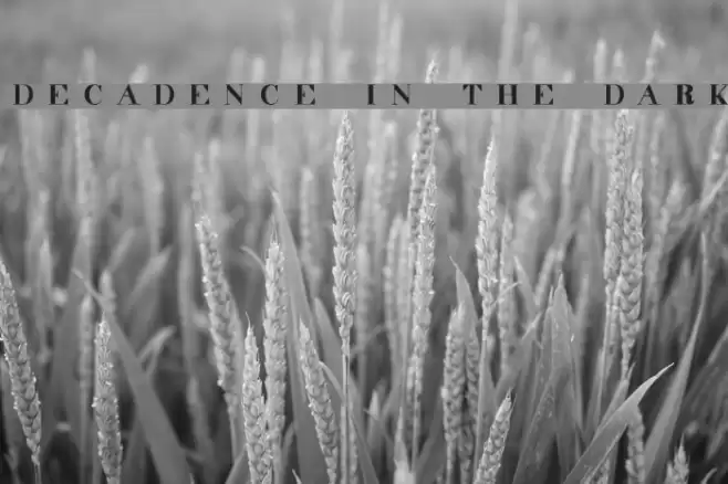 decadence in the dark Schriftart examples