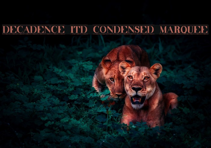 decadence itd condensed marquee Font examples