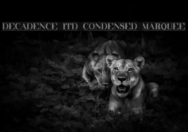 decadence itd condensed marquee Font examples