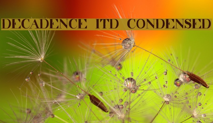 decadence itd condensed Font examples