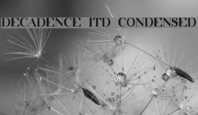 decadence itd condensed Font examples