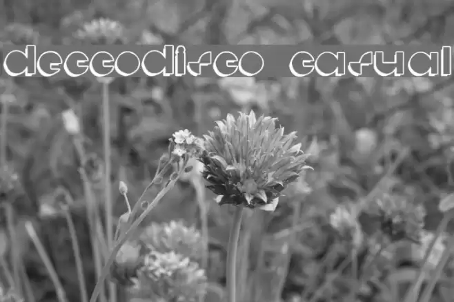 deccodisco_casual フォント examples