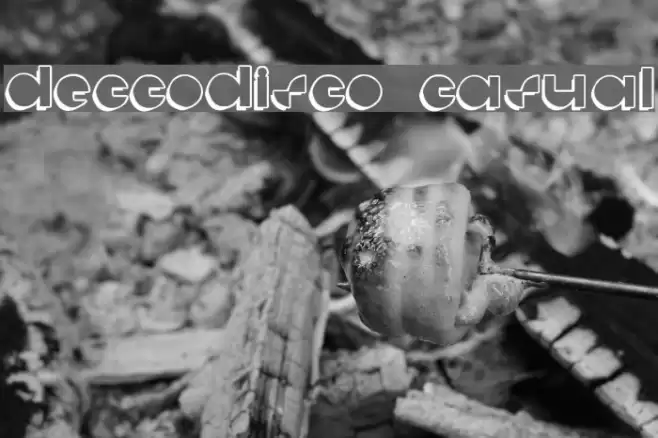 deccodisco_casual フォント examples
