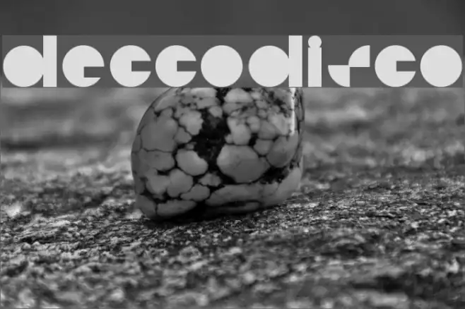 deccodisco Example 3