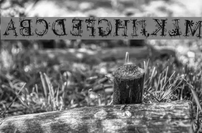 decemberice Font examples