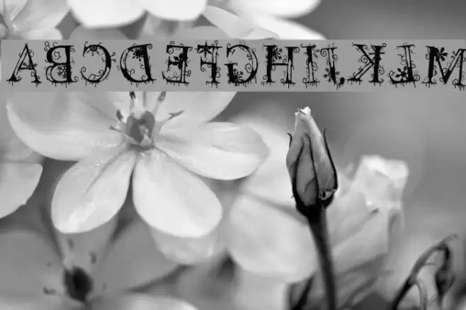 decemberice Font examples