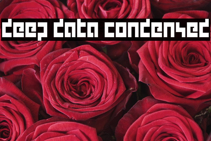 deep data condensed Example 2