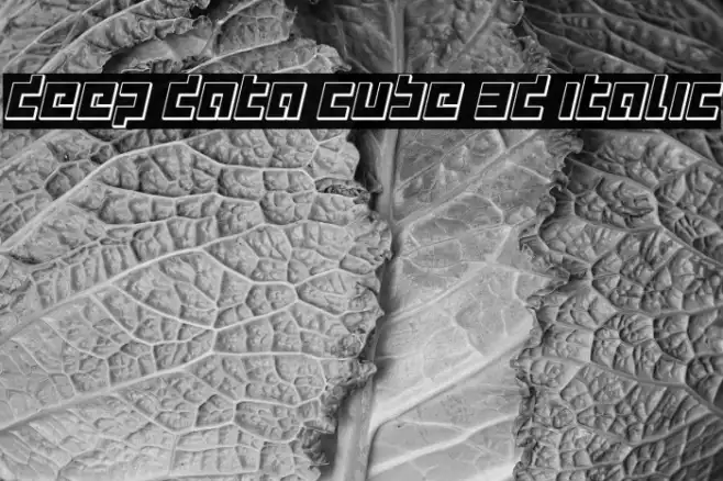 deep data cube 3d italic Example 2