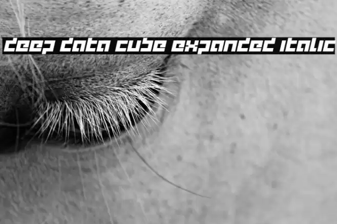 deep data cube expanded italic Fuentes examples