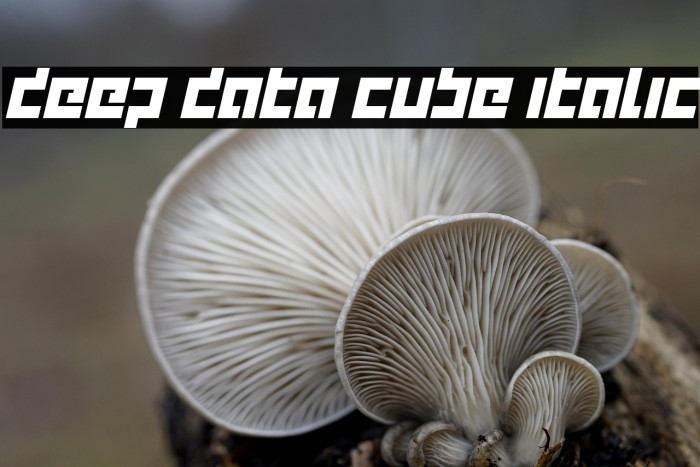 deep data cube italic Example 1