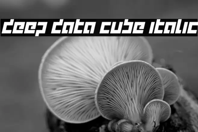 deep data cube italic फ़ॉन्ट examples