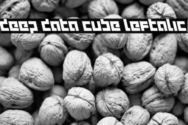 deep data cube leftalic Font examples