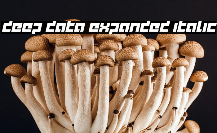 deep data expanded italic Example 3