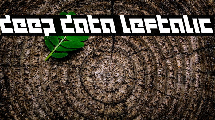 deep data leftalic Example 1