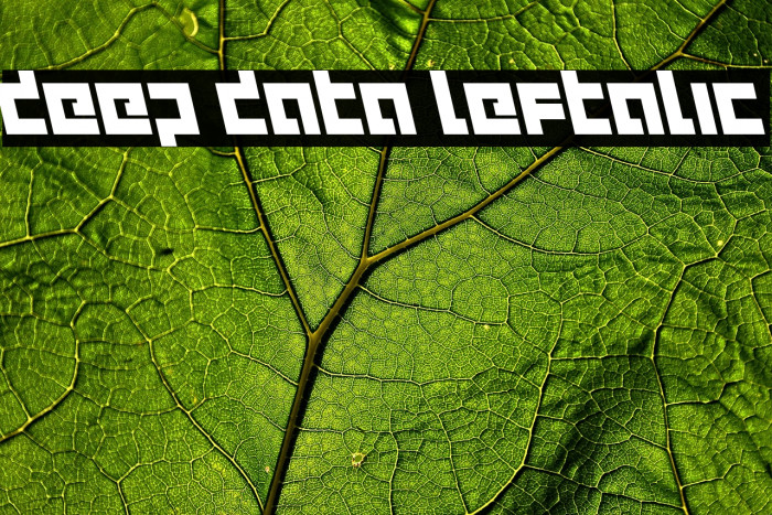 deep data leftalic Example 3