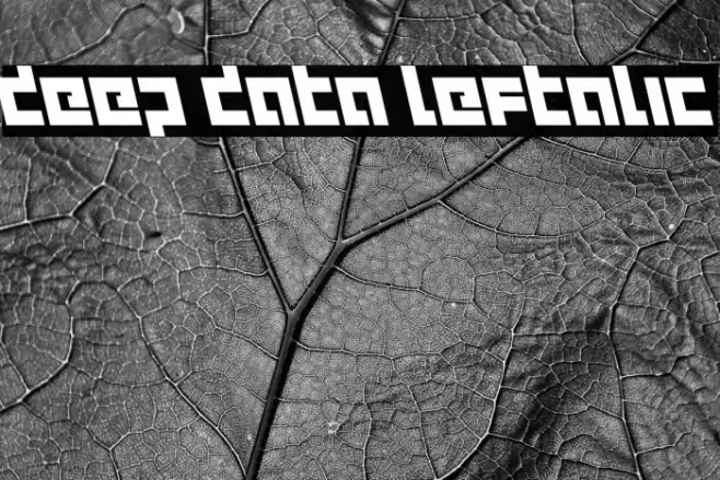 deep data leftalic Caratteri examples