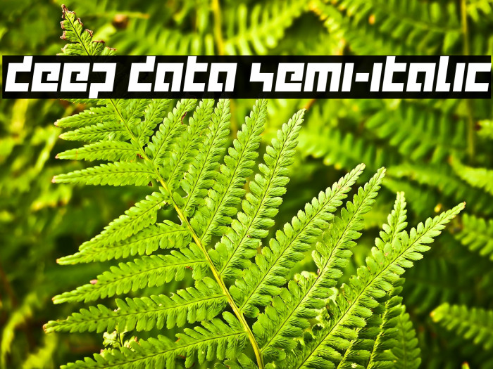 deep data semi-italic Example 3