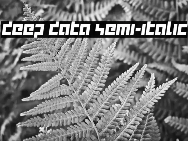 deep data semi-italic Fonte examples