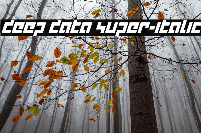 deep data super-italic Example 2