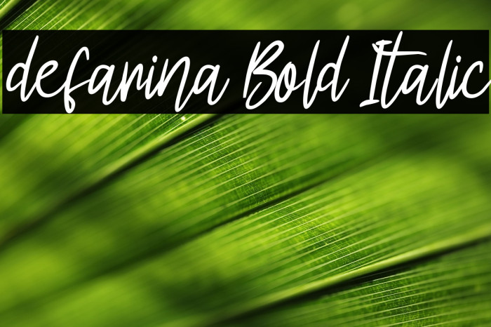defarina Bold Italic Example 1